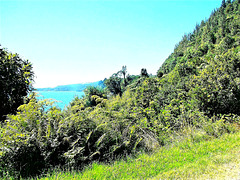 Beside Lake Rotoiti.