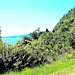 Beside Lake Rotoiti. Beside Lake Rotoiti.