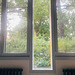 Day 180/365:2026 Window Day 180/365:2026 Window