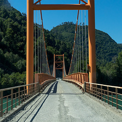 Puente_Palena