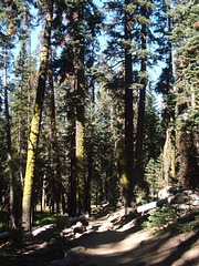 Wolverton-Heather Lake Trail