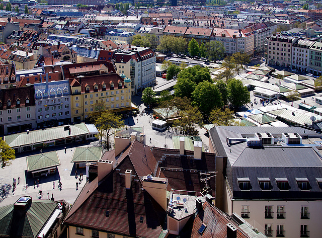 Tote Hose auf dem Viktualienmarkt