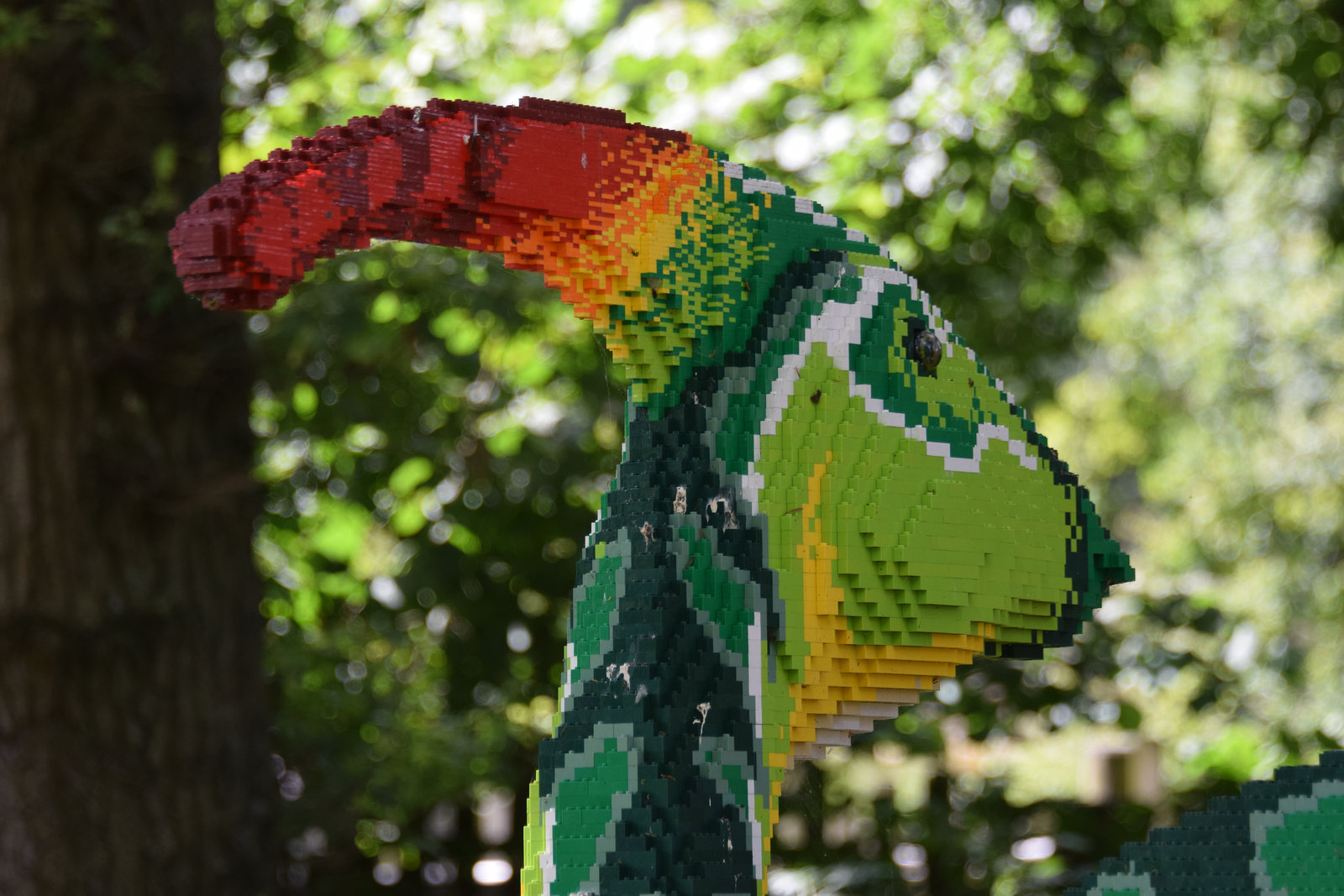 Marwell Zoo (7) - 15 July 2019