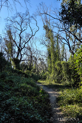 Coastal walk #2