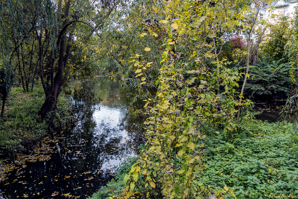 Oker in Braunschweig