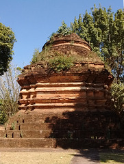 Ruine et végétation persévérante