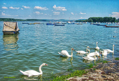 An der wunderschonen Donau