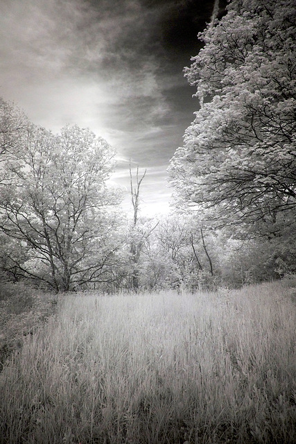 Clouds in 850nm are especially fun