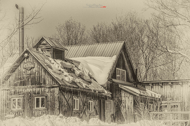 La Cabane IMGP9674