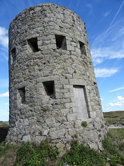 wg (1481)