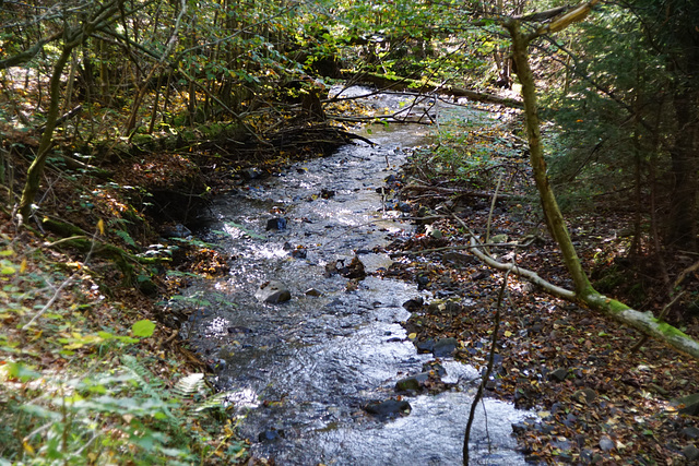 Die "Große Steinau"