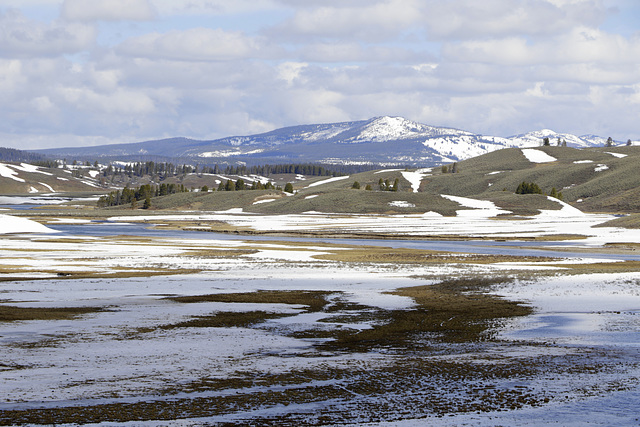 Hayden Valley