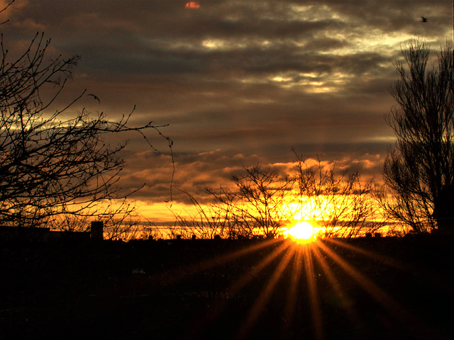 This Mornings Sunrise This Mornings Sunrise