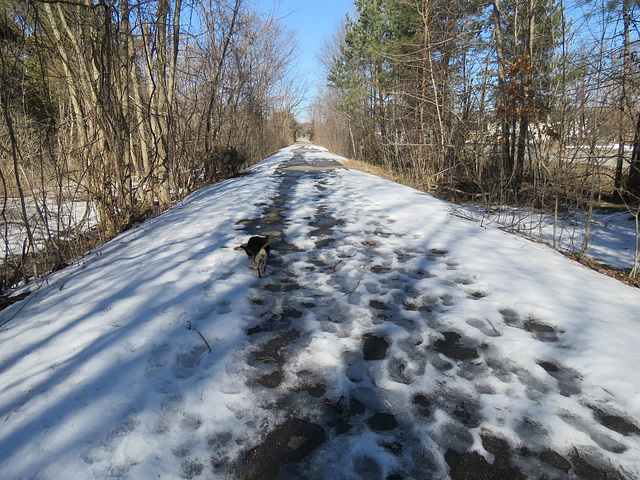 Still ice on the trail