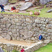 tourists photoing llamas