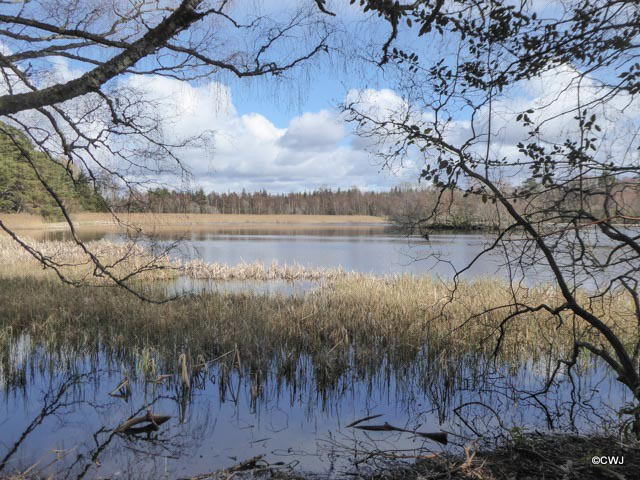 Blairs Loch