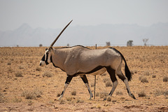 Namibia-0431