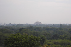 Looking South From The Purana Qila