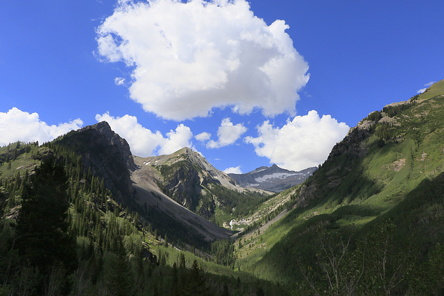 Along the Maroon-Snowmass Trail