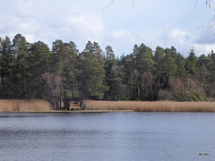 Blairs Loch