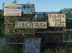 Lobster this way