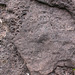 Maen Llia Bronze Age Standing Stone