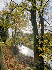 Herbst im Elbtal bei Pirna