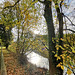 Herbst im Elbtal bei Pirna