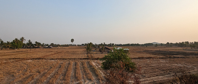 Agriculturisme cambogien/Cambodian agriculturism