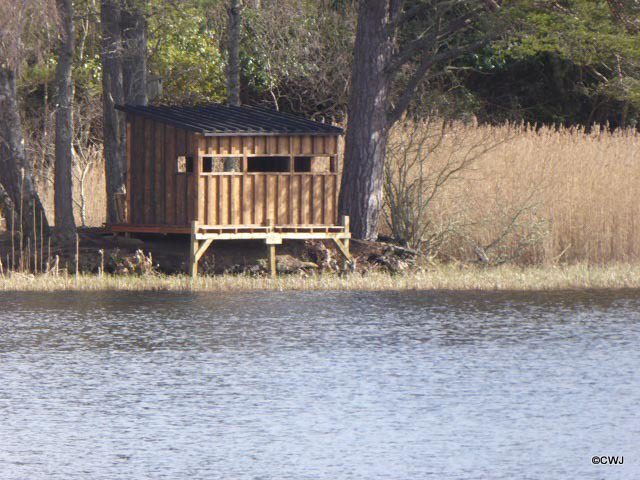 Blairs Loch Hide