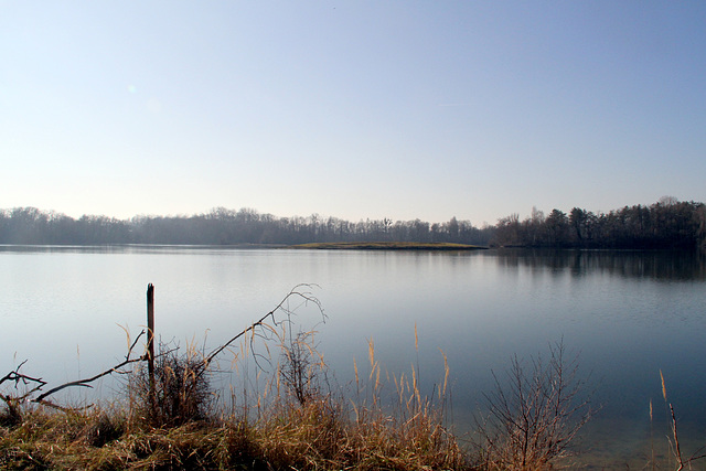 Visite ENS de la plaine de Sorques - 13/02/2023