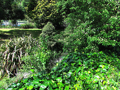 It's A  Green World!