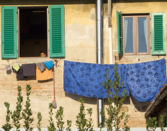 Laundry of Florence