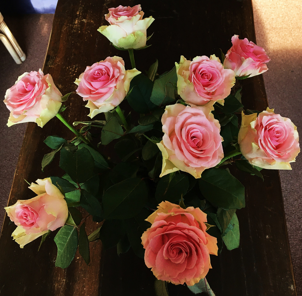 Quelques roses