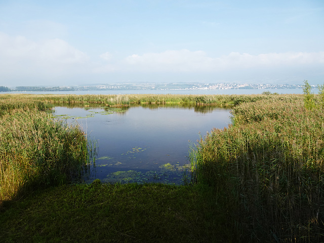 Wasserwelt