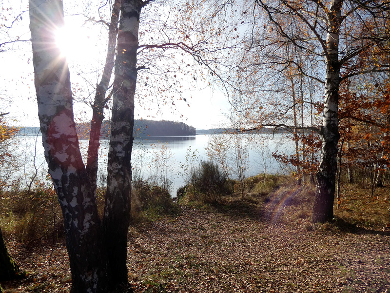 am Steinberger See