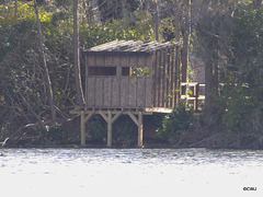 Blairs Loch Hide