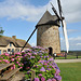 Moulin à vent du Cotentin à Fierville-les-Mines