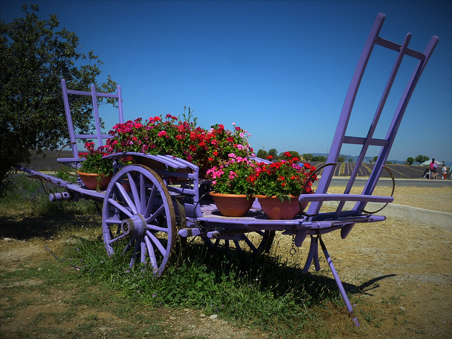 ...une image de Provence...