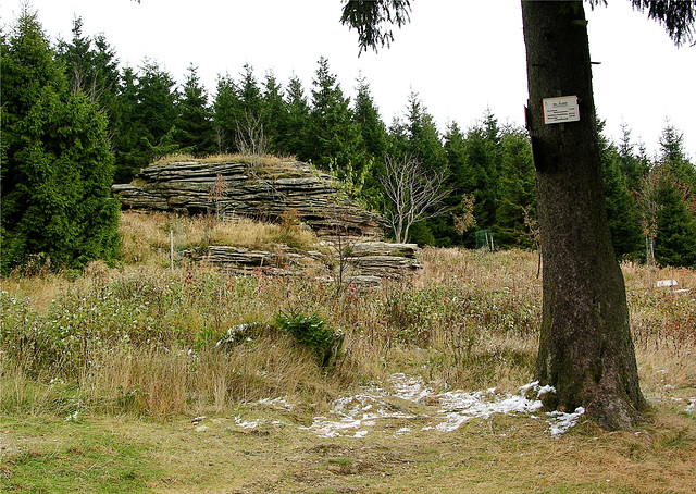 Im Harz am Wurmberg