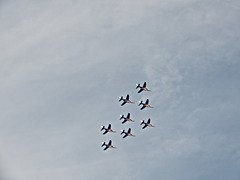 la patrouille  de france