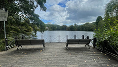 Langweiher Abteipark  Mettlach