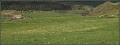 autour du mont d'Alambre et des Infruits