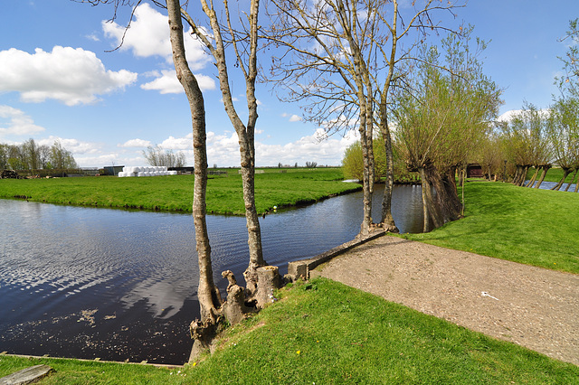 Dutch landscape