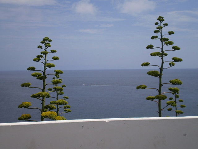 Beholding the Atlantic Ocean.