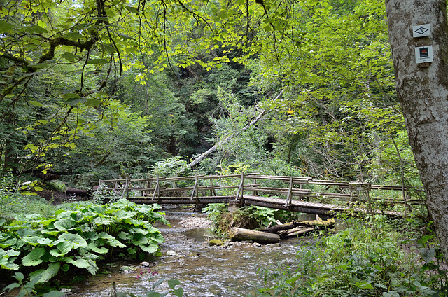 Gauchachschlucht