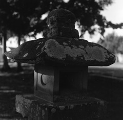 Moss-grown stone lantern