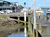 At  Whakatane Wharf,