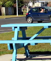 Car on Picnic Table