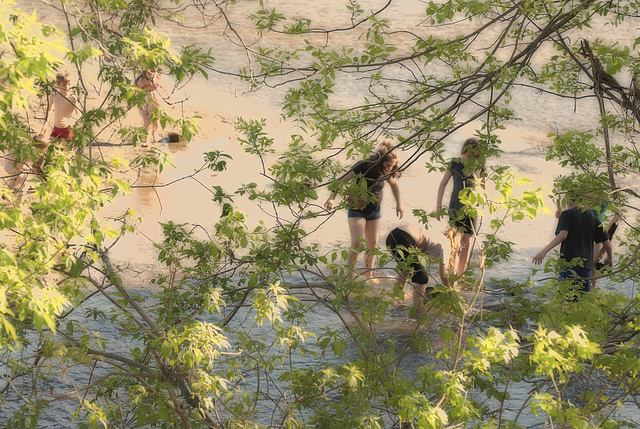 Premiers printemps au bord de la Yamaska